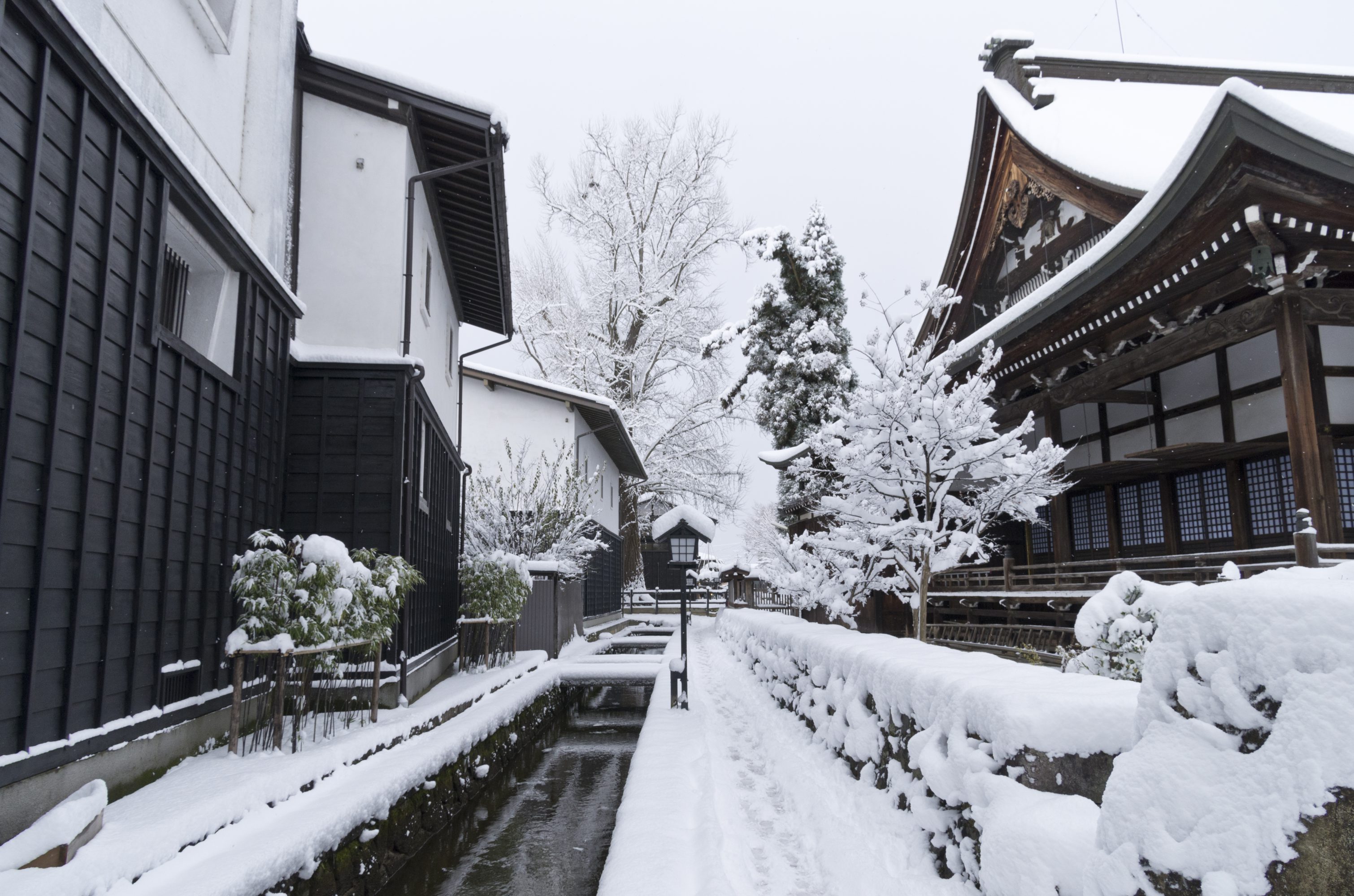 瀬戸川と白壁土蔵街 Satoyama Experience