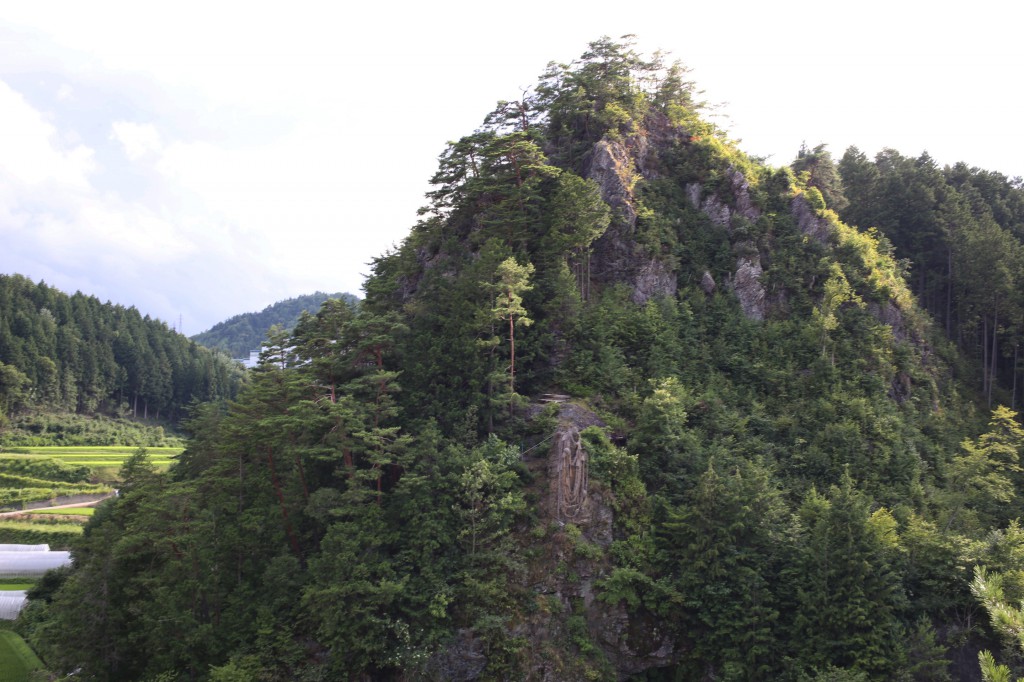 a male rock